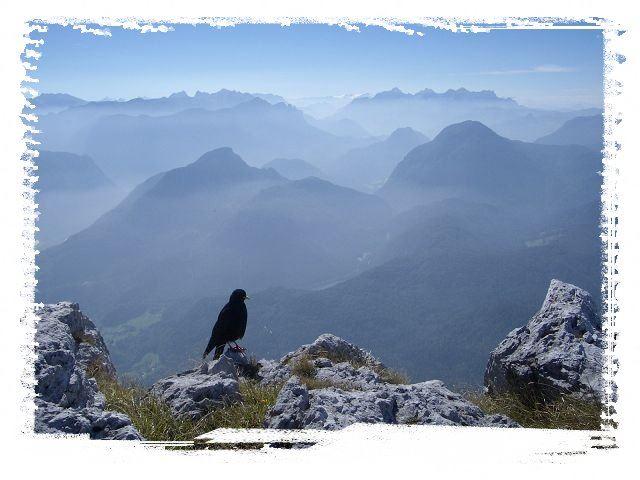 Blick vom Gipfel des Hochstaufens