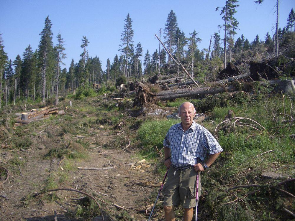 Richtung Arbergipfel