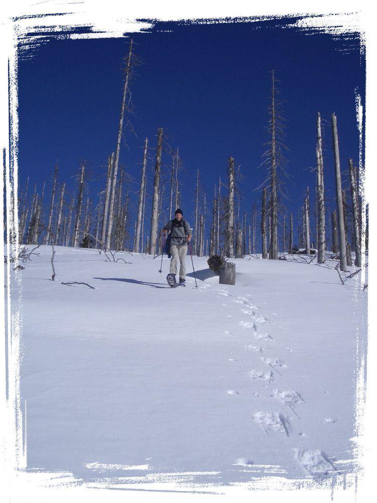 Auf Schneeschuhen