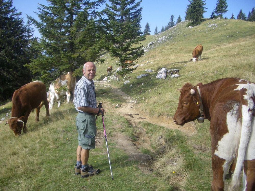 Papi auf der Almwiese