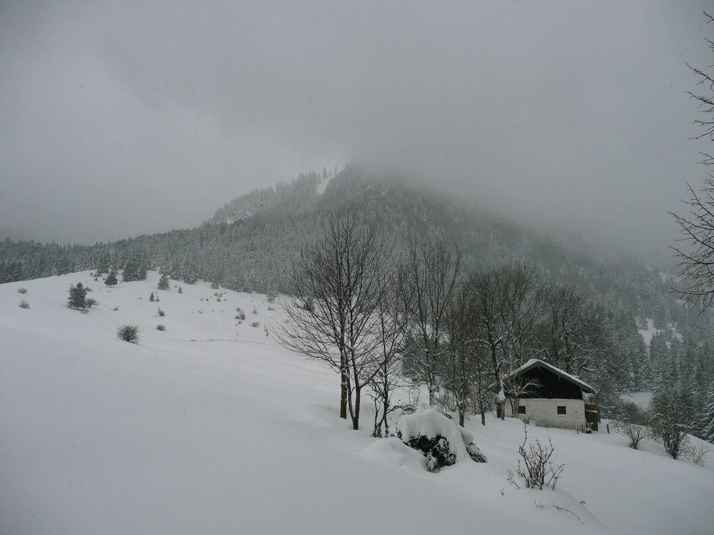Ganz schön viel Nebel