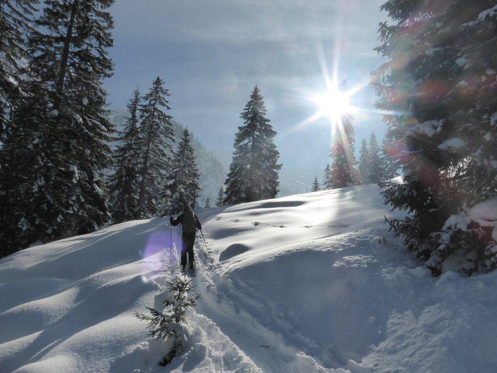 Aufstieg zum Gamsfuß