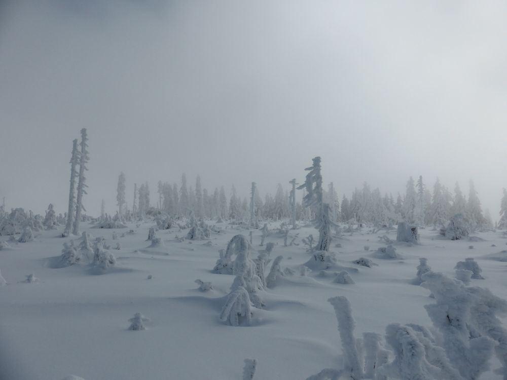 Geisterlandschaft :-)