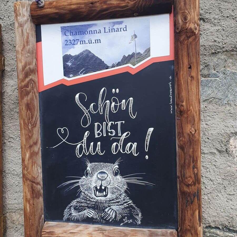 Silvretta_Hochtour_23bis24_08_2025_18