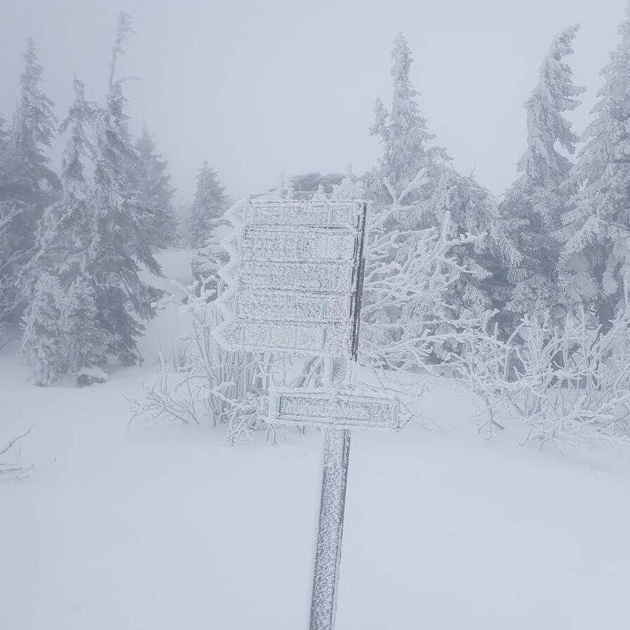 Skitour Arber 15_12_2024_07