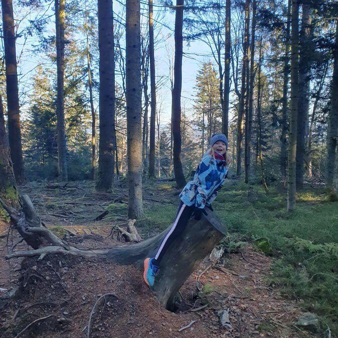 Breitenauriegel_Dreitannenriegel_01_12_2024_07