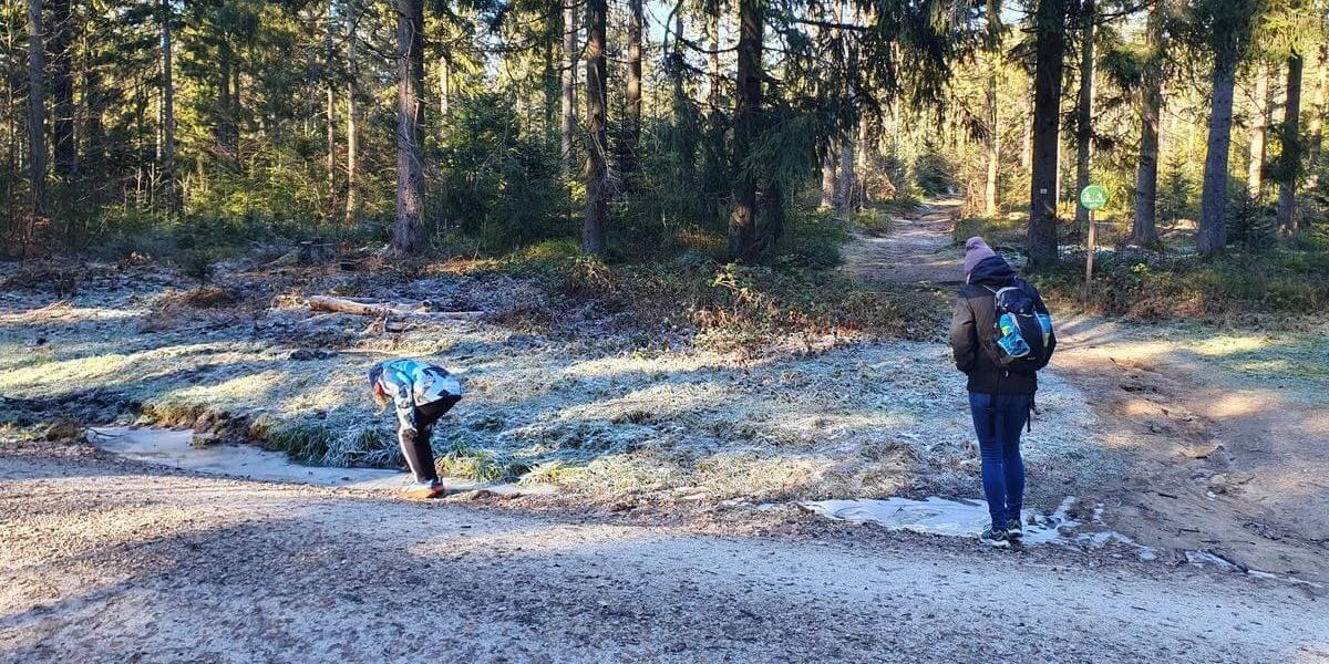 Breitenauriegel_Dreitannenriegel_01_12_2024_11