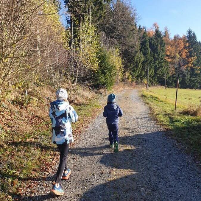Hirschenstein_16_11_2024_03