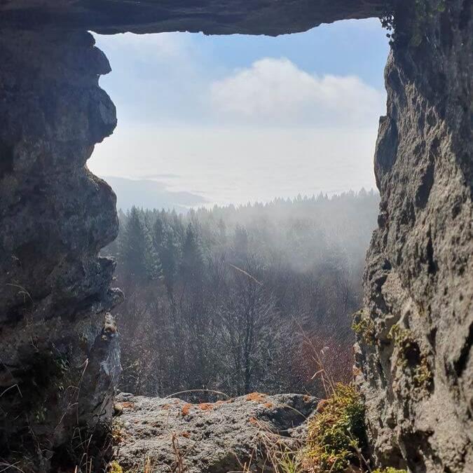 Hirschenstein_16_11_2024_17
