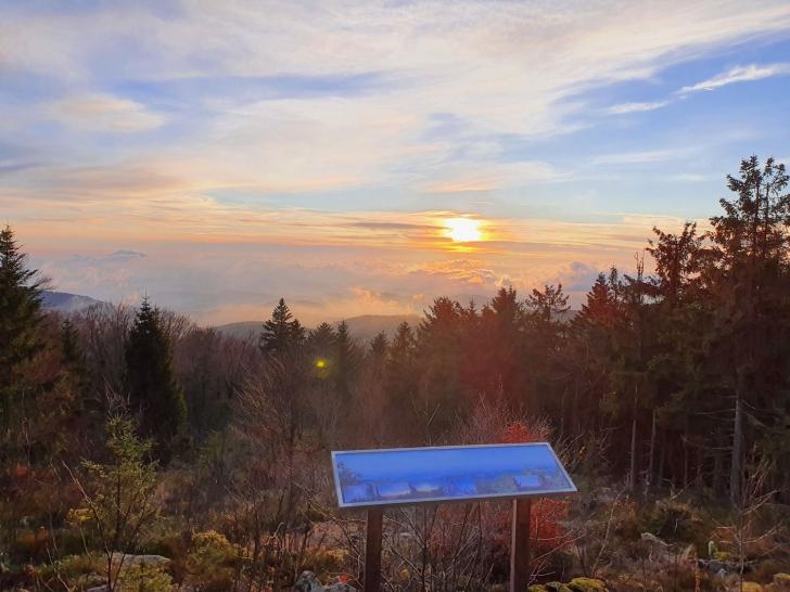 Drei Tausender Wanderung auf Predigtstuhl, Hochberg, Knogl im Bayerischen Wald