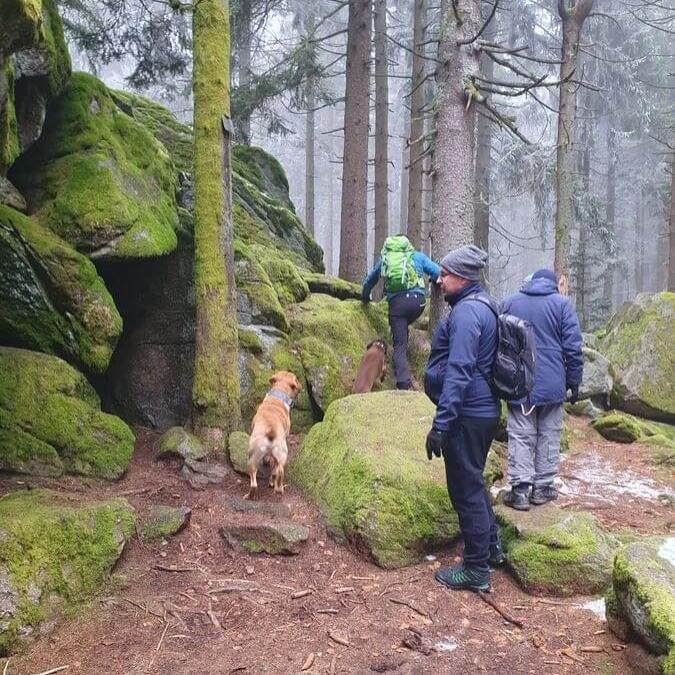 Pröller_Alte_Freunde_17_11_2024_07