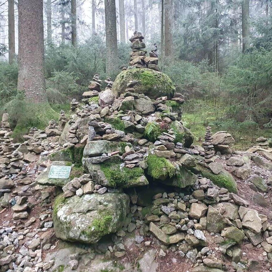 Pröller_Alte_Freunde_17_11_2024_19