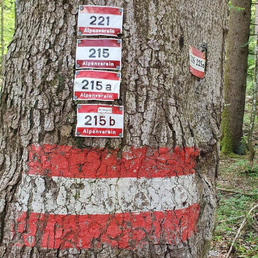 2_MTB_Wanderung_Feichteck_18_05_2024_26