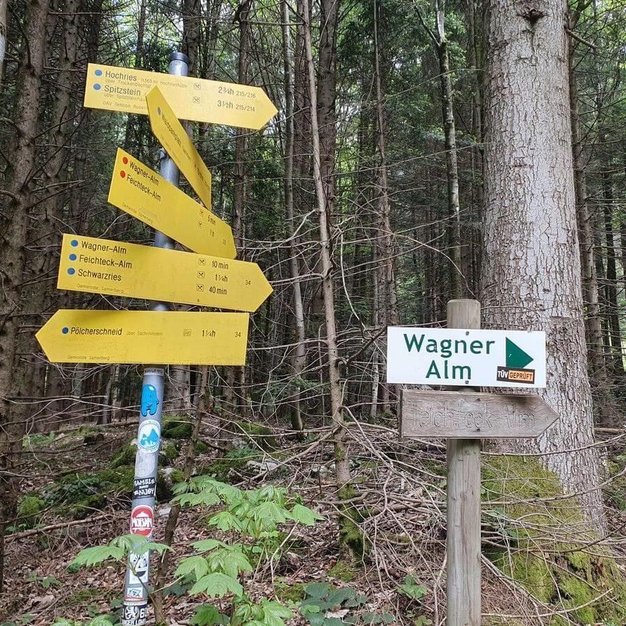 2_MTB_Wanderung_Feichteck_18_05_2024_27