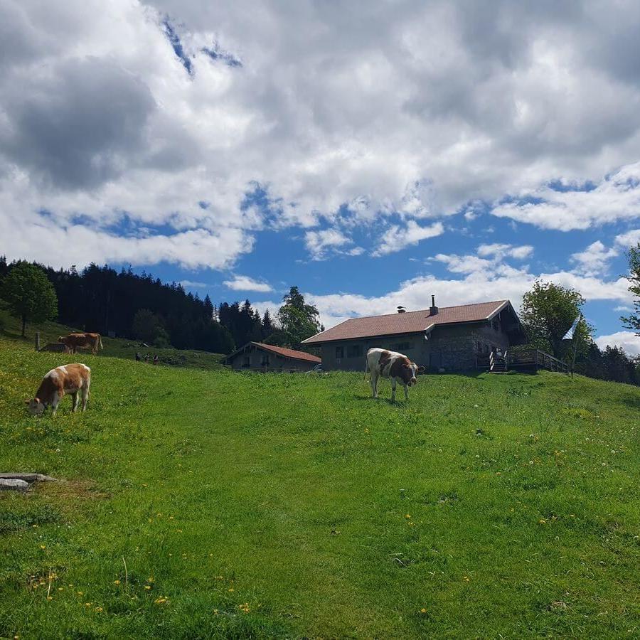 2_MTB_Wanderung_Feichteck_18_05_2024_30