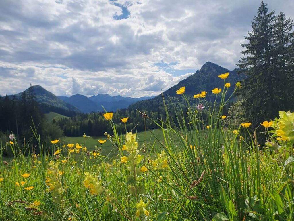 2_MTB_Wanderung_Feichteck_18_05_2024_84