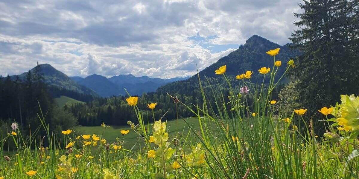 2_MTB_Wanderung_Feichteck_18_05_2024_84