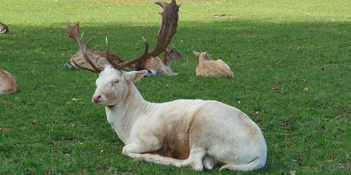 Grassau mit Timi_Opi_und_Omi_12bis13_10_2024_21