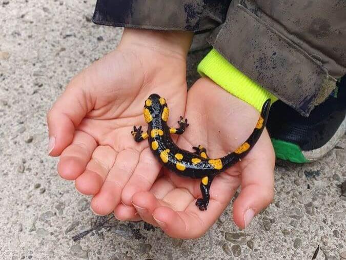 Grassau mit Timi_Opi_und_Omi_12bis13_10_2024_78