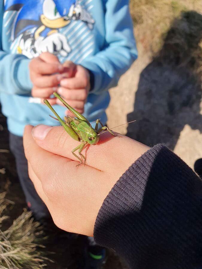 Grassau_Priener_Hütte_08bis10_11_2024_130