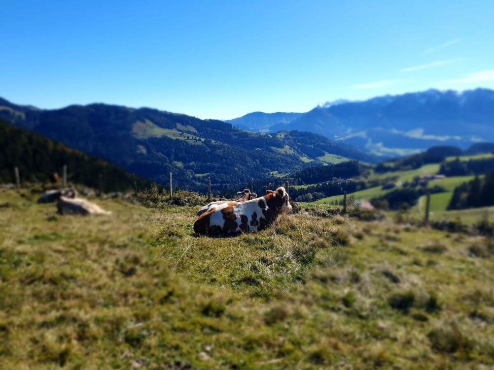 Grassau mit Brigitte 03bis06_10_2024_129