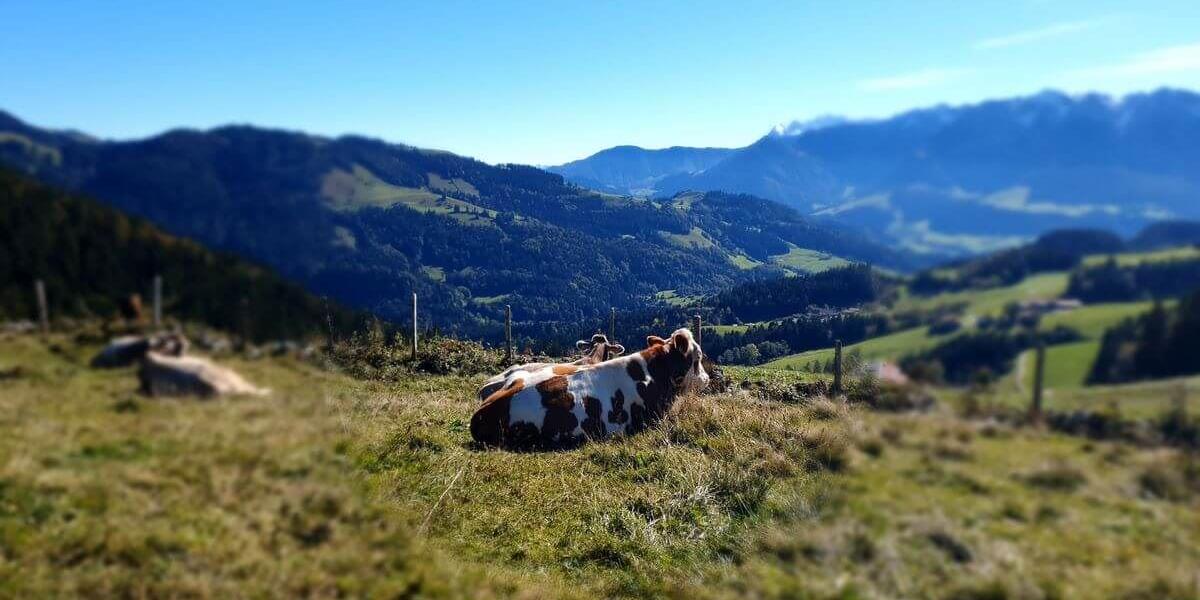 Grassau mit Brigitte 03bis06_10_2024_129