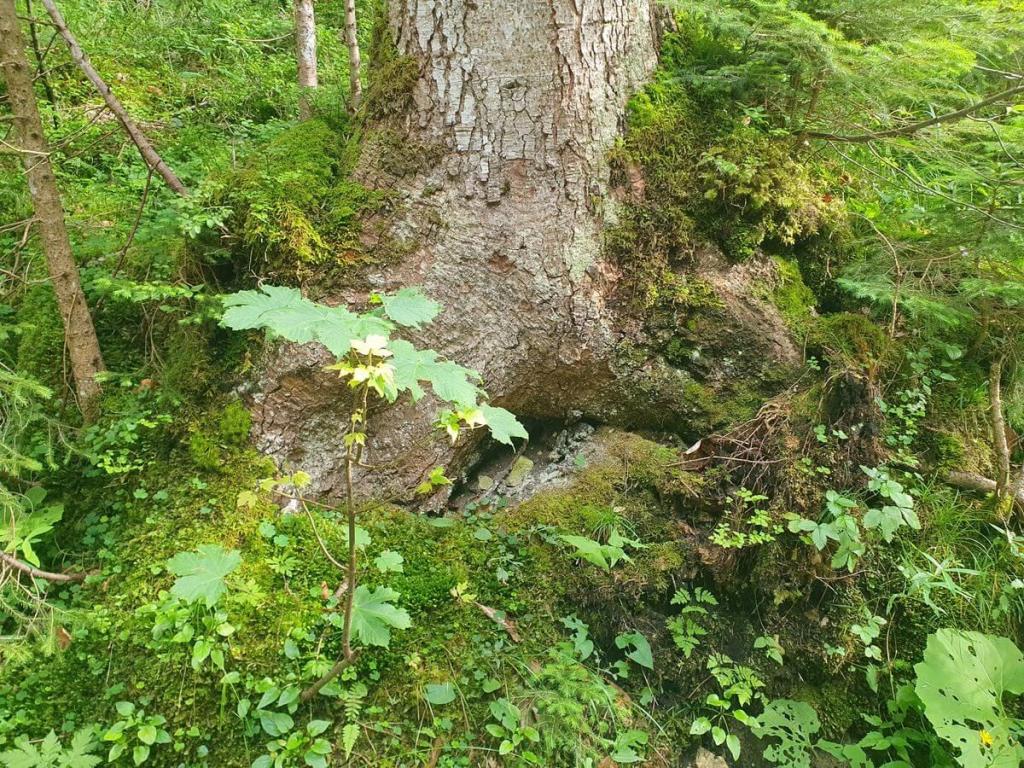 Grassau mit den Kindern 13bis14_07_2024_85