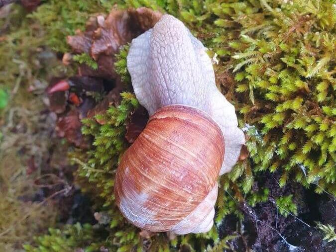 Spitzingsee_08bis11_05_2025_02