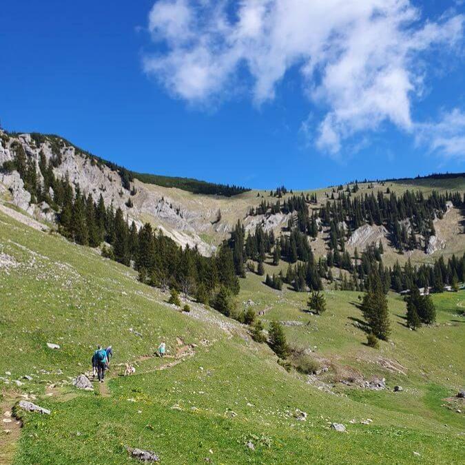 Spitzingsee_08bis11_05_2025_68