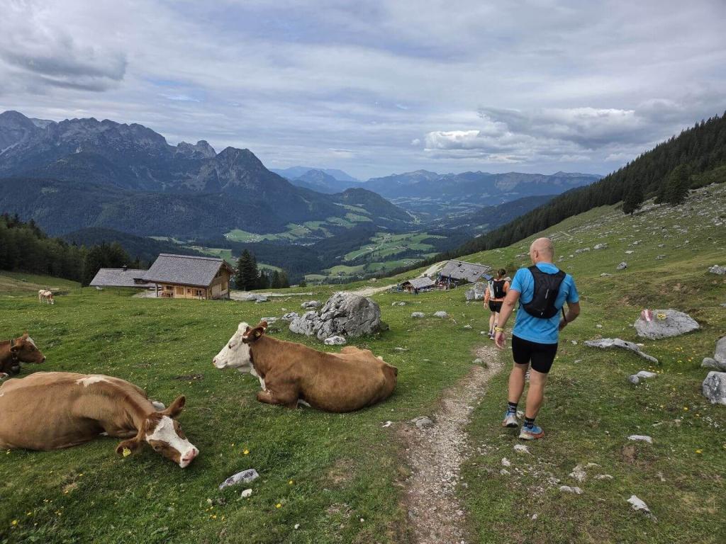 Gosaukamm_Trailrun_13_09_2026_38