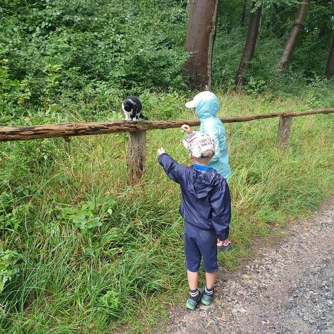 7_Rügen_Kreidefelsen_21_08_2024_09