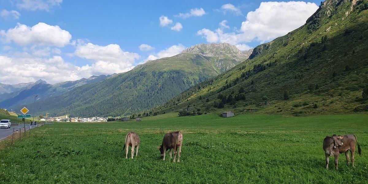 1_Sankt_Anton_bis_Bodenalpe_28_07_2024_48