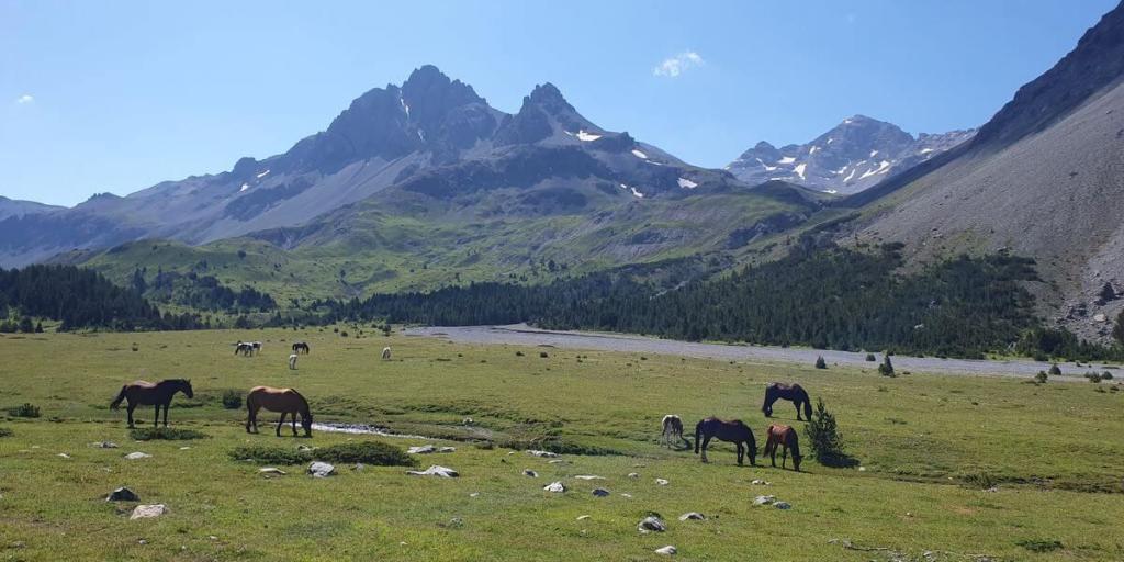 3_Lü_bis_Refugio_Federico_30_07_2024_28