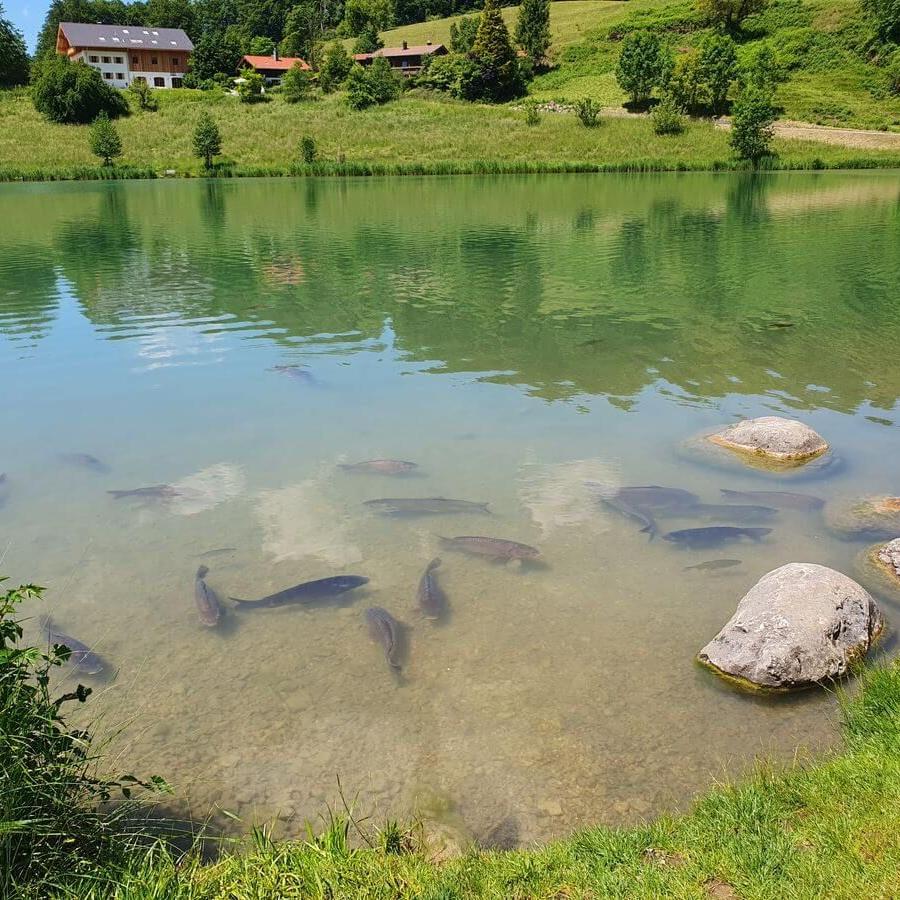 Grassau_30_05bis01_06_2025_08