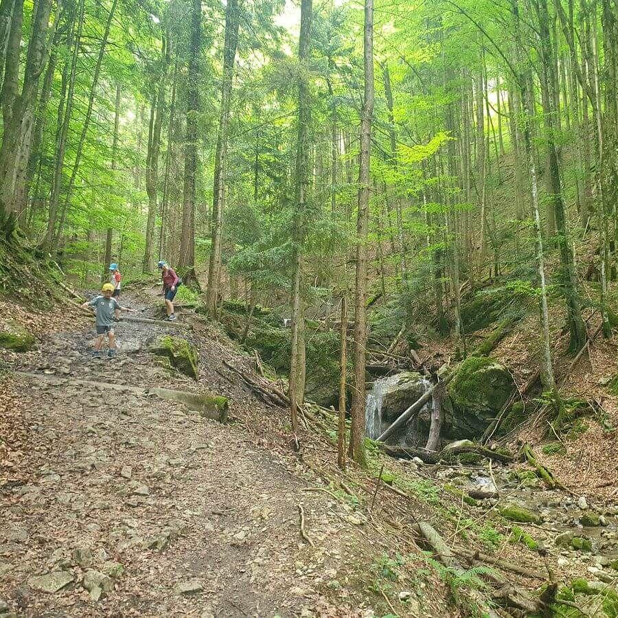 Grassau_30_05bis01_06_2025_53