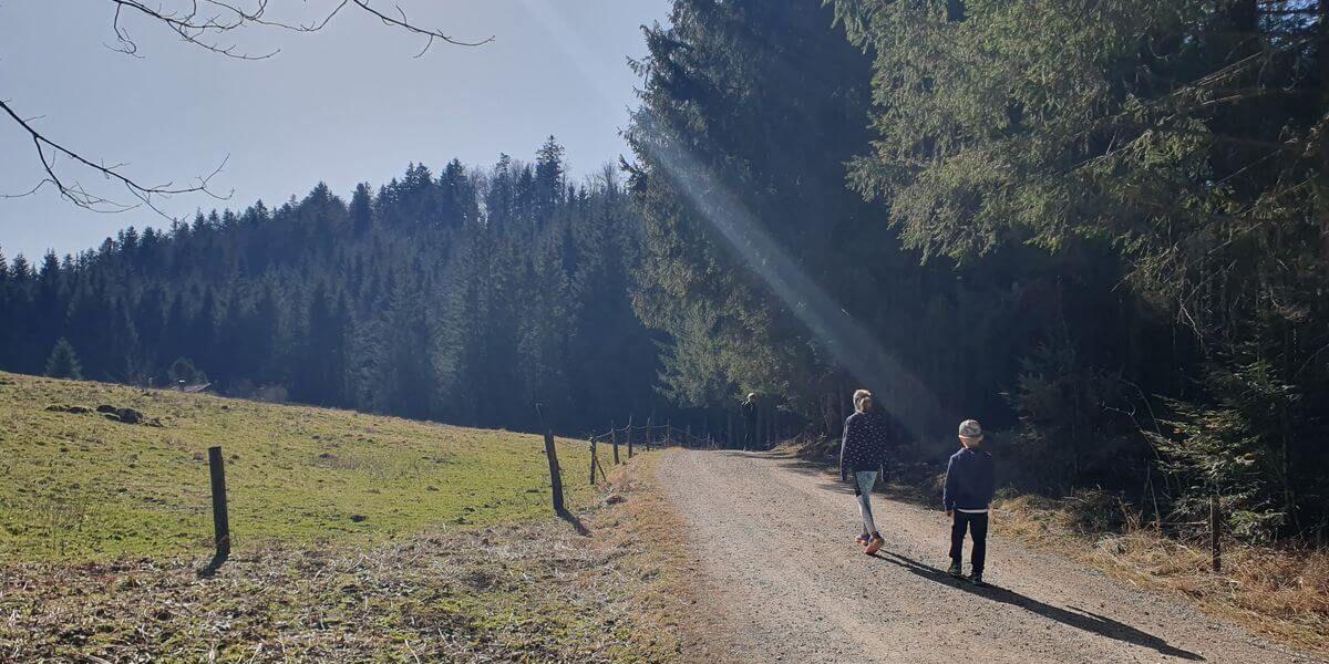 3Wanderung_Schwarzrieshütte_07_03_2025_28