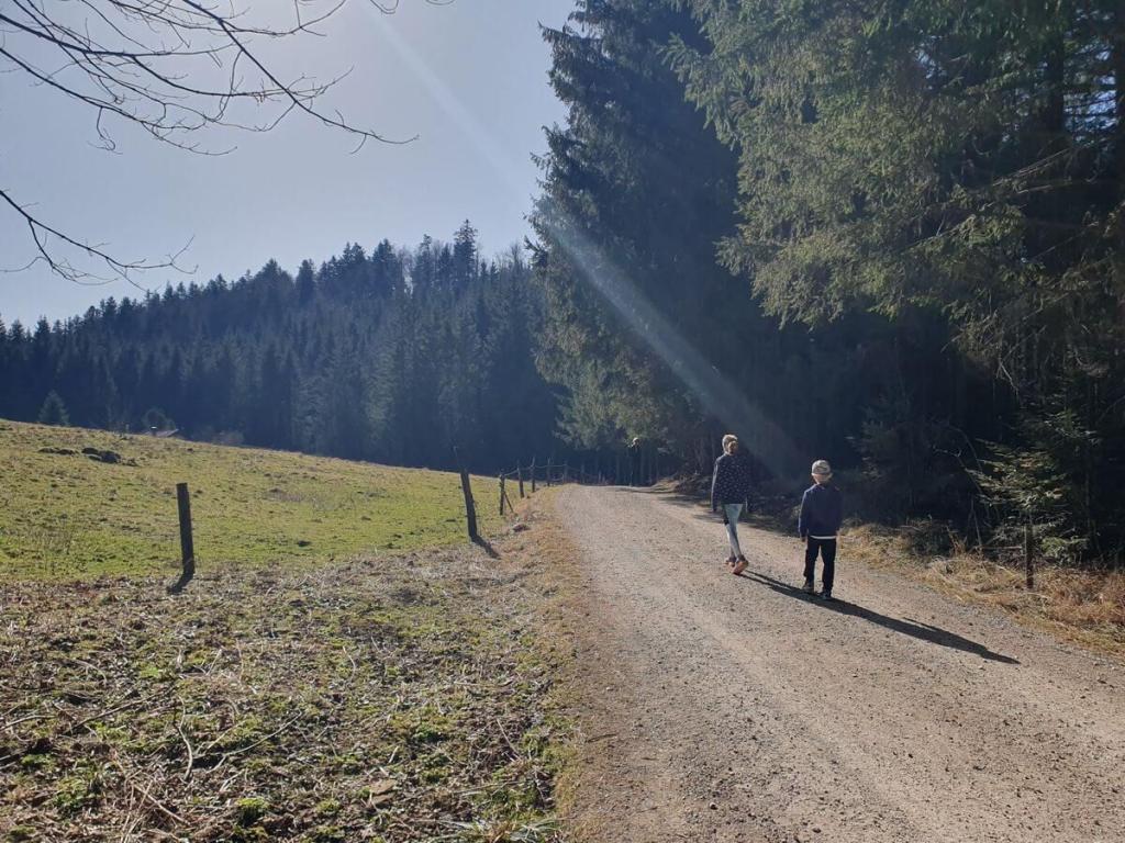 3Wanderung_Schwarzrieshütte_07_03_2025_28