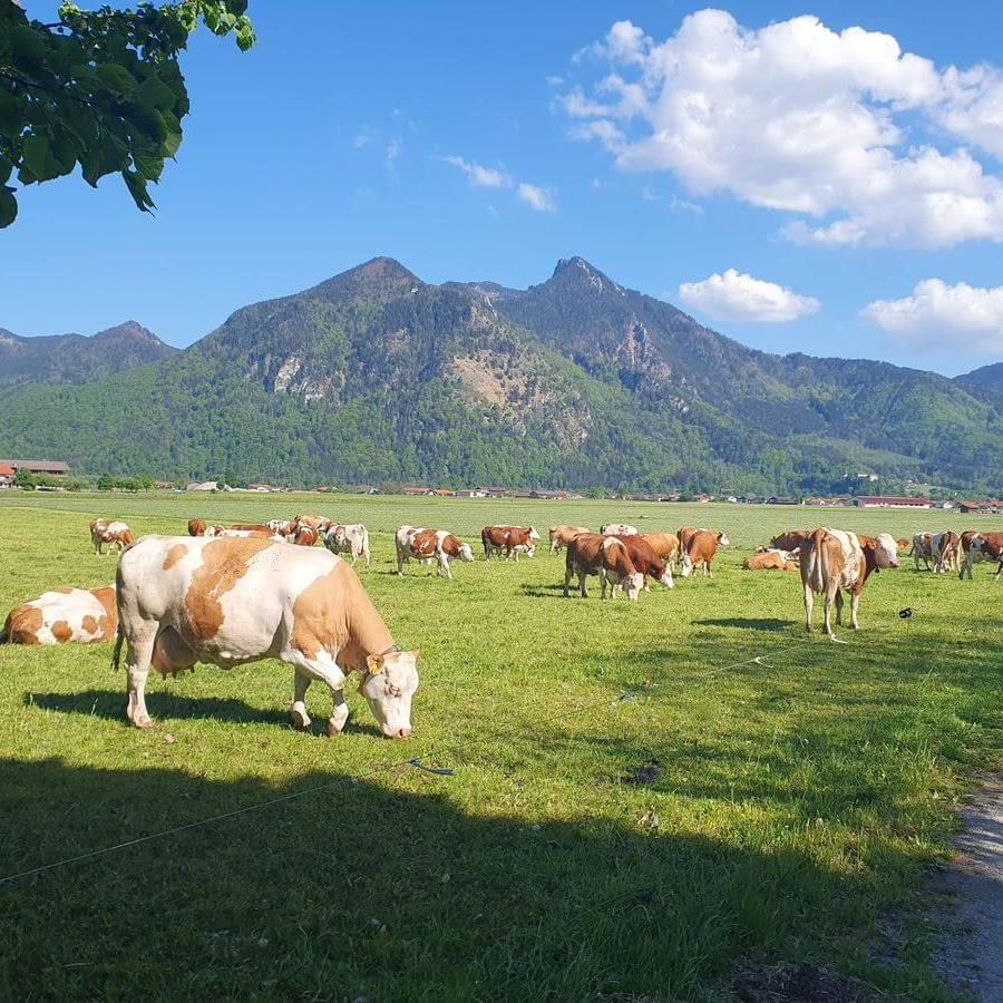 Grassau mit Brigitte 30_04bis02_05_2025_16