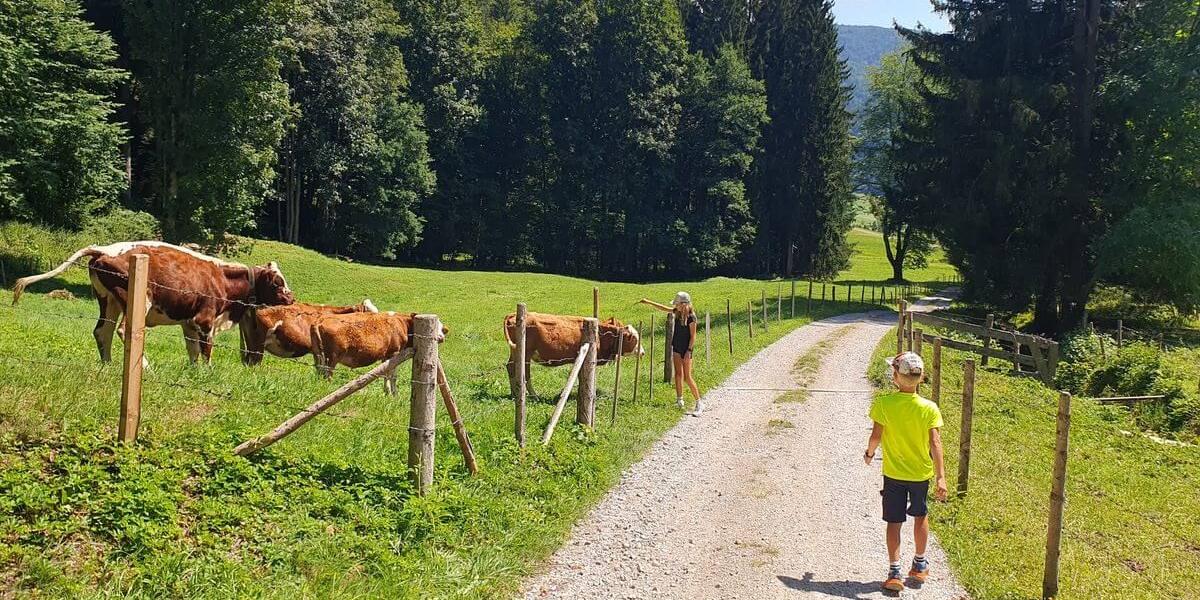 Grassau_08bis_09_08_2026_09