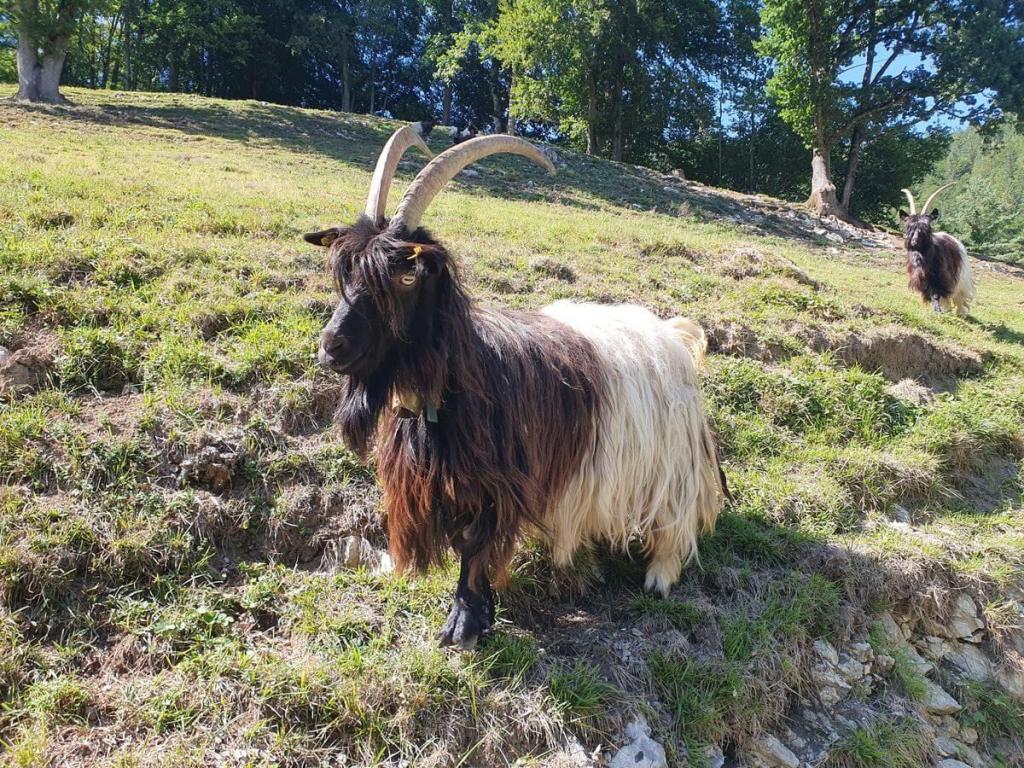Grassau_08bis_09_08_2026_26