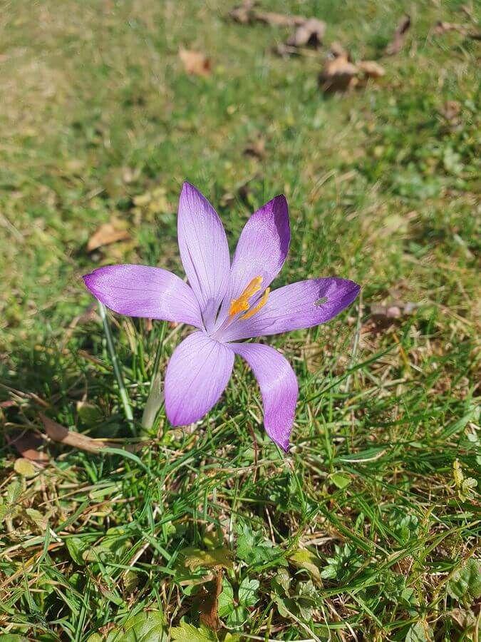 Grassau_07bis09_03_2026_10