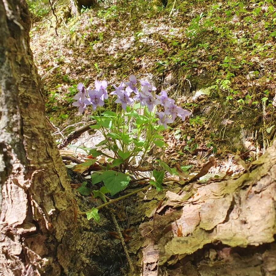 Grassau_30_04bis03_05_2026_48