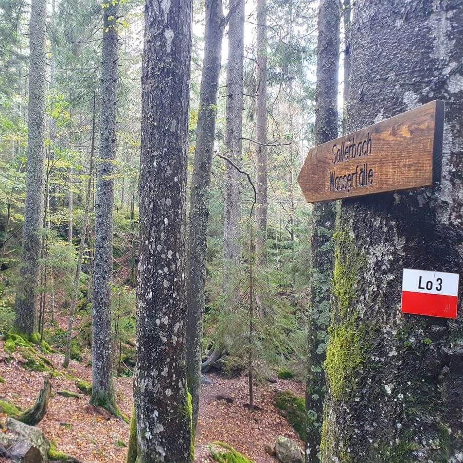 Trailrun_TAR_Arber_Osser_28bis29_09_2024_20